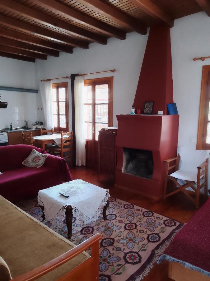 Arka Metsovo Hotel Eksteriør billede