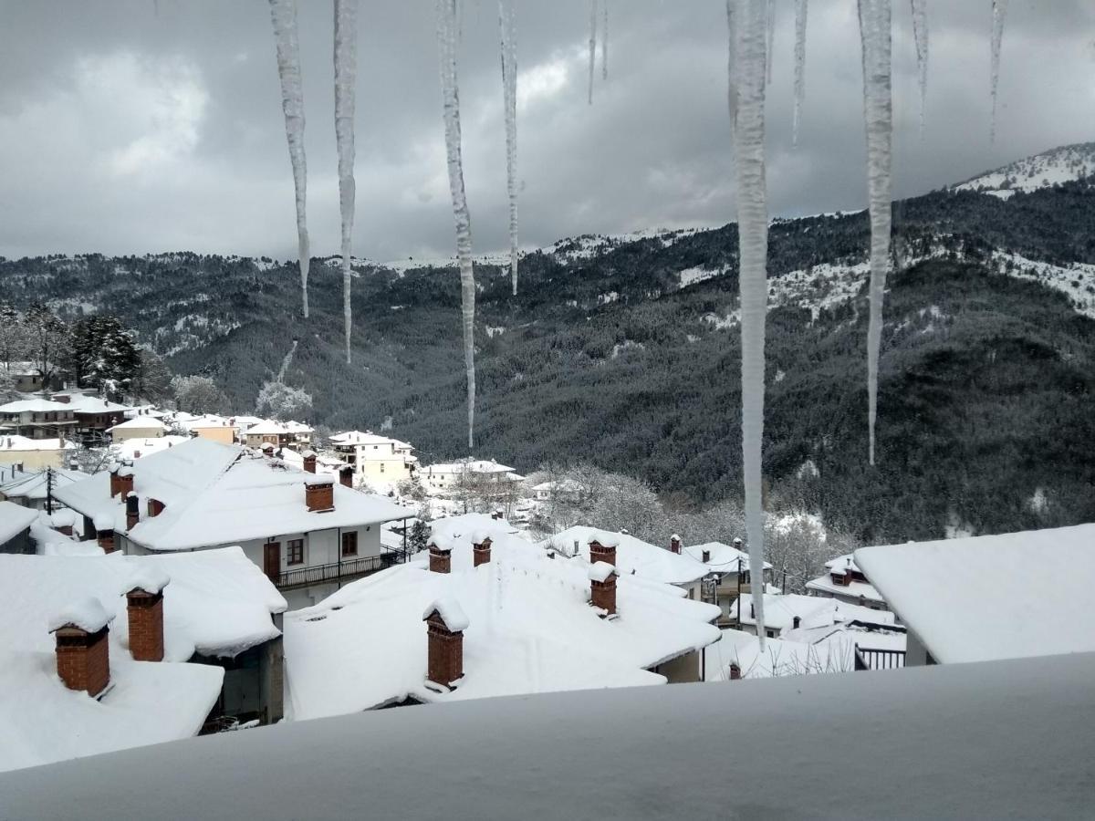 Arka Metsovo Hotel Eksteriør billede
