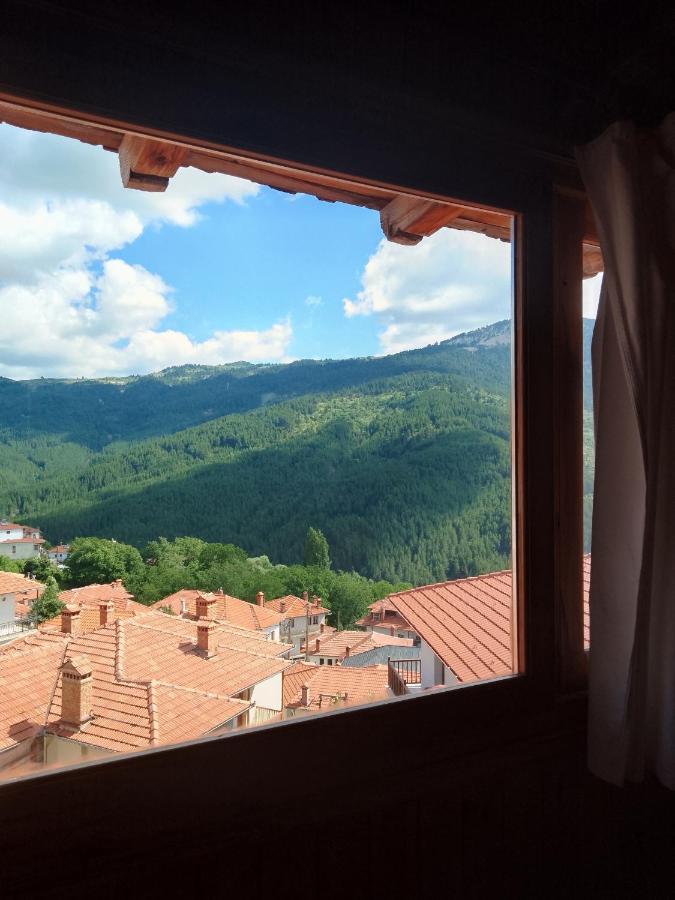 Arka Metsovo Hotel Eksteriør billede