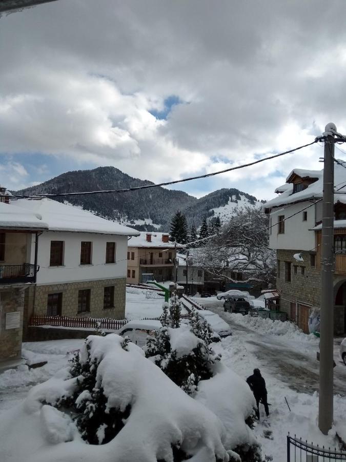 Arka Metsovo Hotel Eksteriør billede