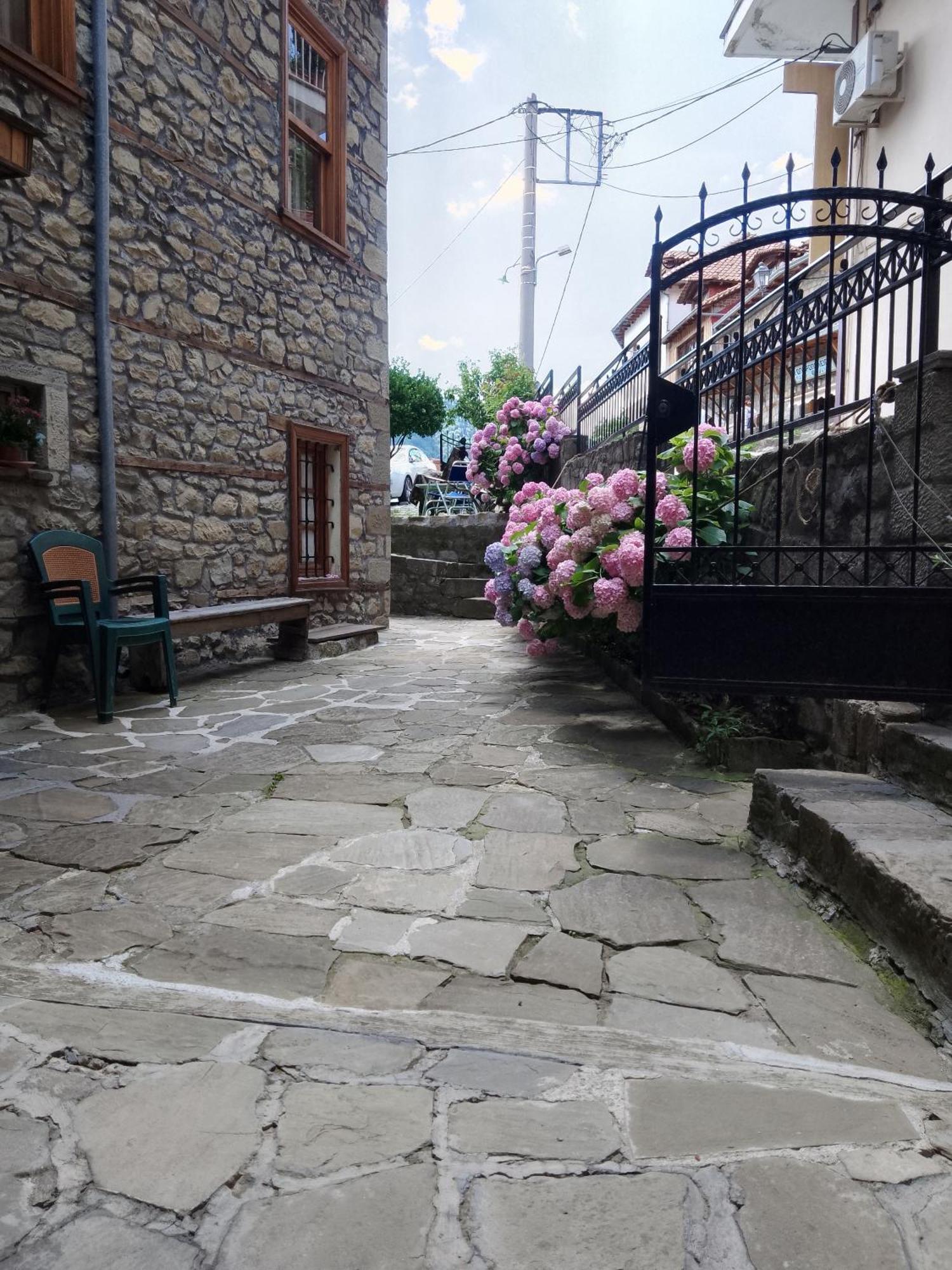 Arka Metsovo Hotel Eksteriør billede